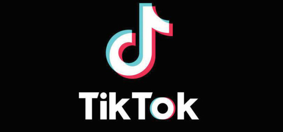 टिकटकमा बन्दुकको राखेको आरोपमा एक जना पक्राउ