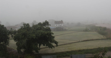 मधेशमा वर्षा सुरु, किसान हर्षित